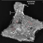 Dao-ran-ngay-21-2-22-truoc-khi-bi-tan-cong-van-con-nguyen